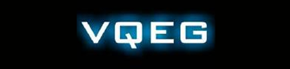Video Quality Experts Group